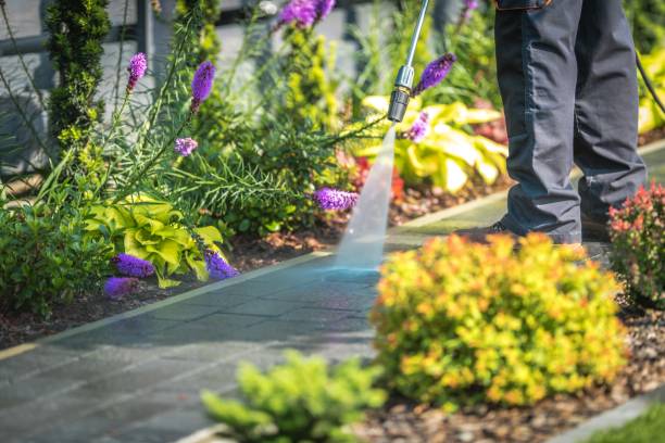 Reliable Taft Heights, CA  Pressure Washing Services Solutions